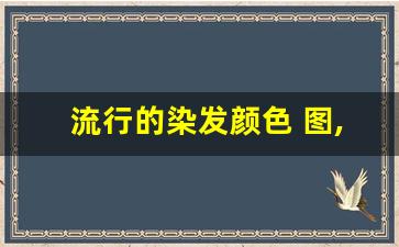 流行的染发颜色 图,今年染发流行什么颜色